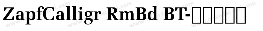 ZapfCalligr RmBd BT字体转换